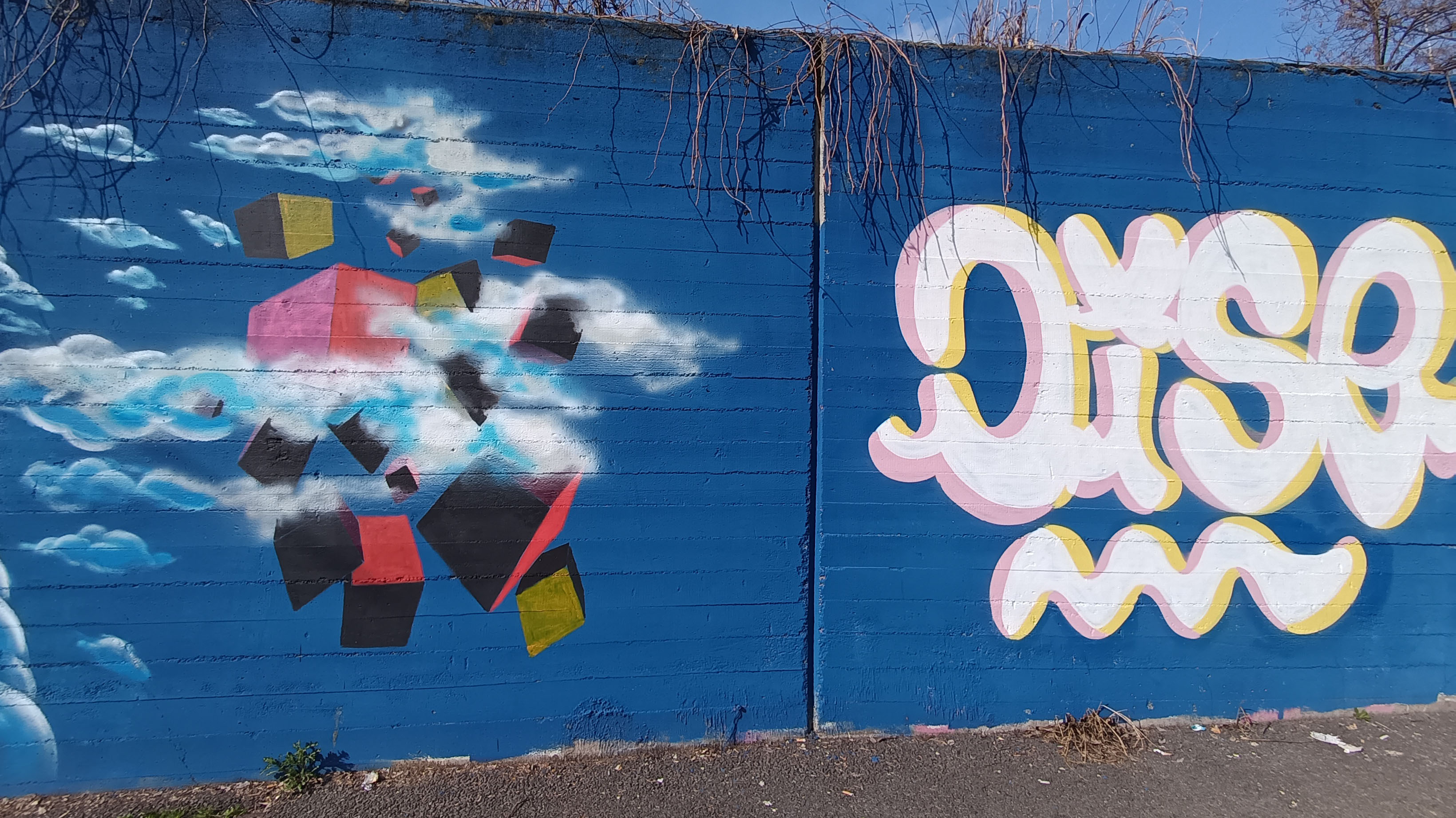 immagine murale
